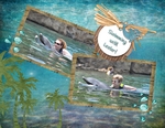 Discovery_cove-p007-small
