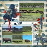 Home on the Range (teddiecat)