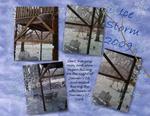 Ice_storm-p002-small