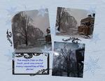 Ice_storm-p003-small