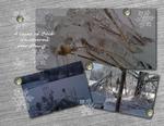Ice_storm-p004-small