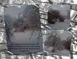 Ice_storm-p005-small