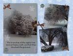 Ice_storm-p006-small