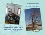Ice_storm-p008-small
