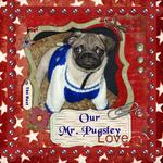 Our Mr. Pugsley (Suzan1952)