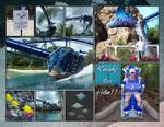 Sea_world-p009-small