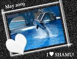 Sea_world-p001-small