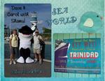 Sea_world-p004-small