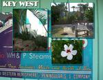 Sea_world-p005-small
