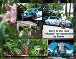 Sea_world-p006-small