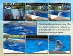 Sea_world-p0010-small