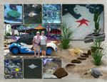 Sea_world-p0011-small