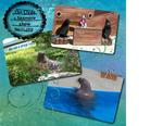 Sea_world-p017-small