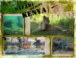 Busch_gardens_-_africa-p002-small