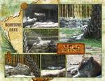 Busch_gardens_-_africa-p006-small