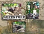 Busch_gardens_-_africa-p007-small