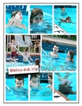 Master_scrapbook_2009-p0080-small