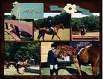 Gary_horse_show-p001-small