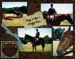 Gary_horse_show-p002-small