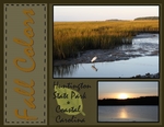 Fall in Coastal Carolina (BeachScraper)