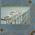 Seagulls (Roelmore)