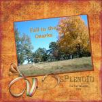 Fall in the Ozarks (Suzan1952)