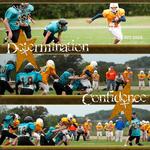Football 2009 (audosborne)