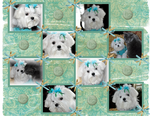 40312484b-small