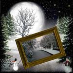 Winter Walks (alan)