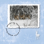 winter wonderland (keli)