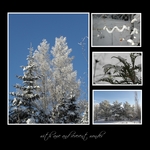 gift of frost (keli)