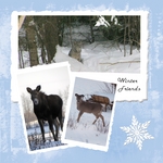 winter friends (keli)