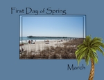 March 2010 Little Things (BeachScraper)