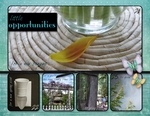 2010_the_little_things-p0033-small