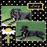 Lucy (karrotlucy)