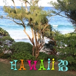 _hawaii_2010-p001-small