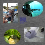 LB Aquarium (kellyfloyd)