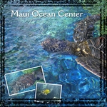 Maui Ocean Center (Jesse77)