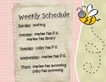 school schedule (danak)