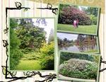 Garden-p005-small