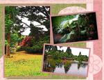 Garden-p006-small