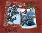 Christmas snow (teddiecat)