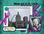 St. Louis - 2009 (jonyce)