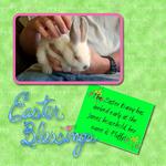 The Early Bunny (wncmtnlady)
