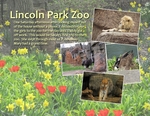 Zoo Fun (jonyce)