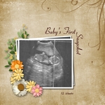 Baby's First Snapshot (corinnasue)