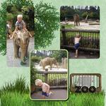 Holiday_downunder-p0111-small