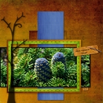 Conifer Cones (ordazd)