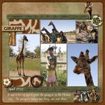 Feeding the Girafees (craftyjac)