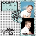 Harrison 2003 (precious1776)